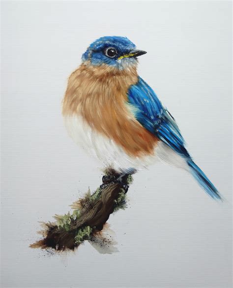 Eastern bluebird, oilcolors. : r/painting