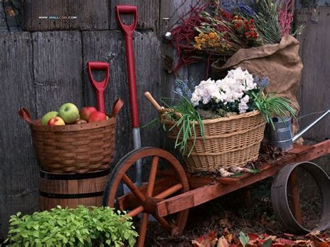 Vegetable Gardening Wallpaper - WallpaperSafari