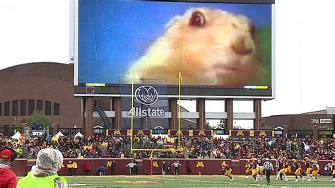 Minnesota Gopher Football Stadium