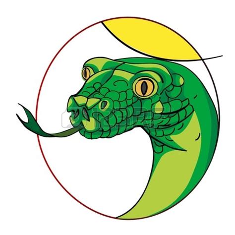 Free Snake Head Cliparts, Download Free Snake Head Cliparts png images, Free ClipArts on Clipart ...