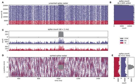 Spiking activity of a layered point-neuron network model. (A) Spike ...