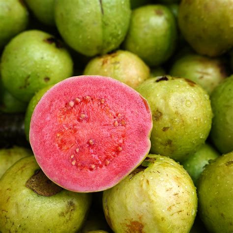 Guava – Organic Eatables