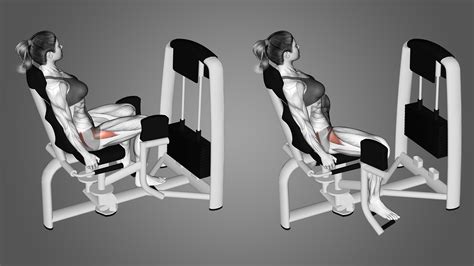 Machine Seated Hip Abduction: Benefits, Muscles Worked, and More - Inspire US