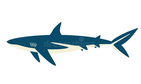 Great White Shark Side View. Stock Vector - Illustration of life, great: 268687782