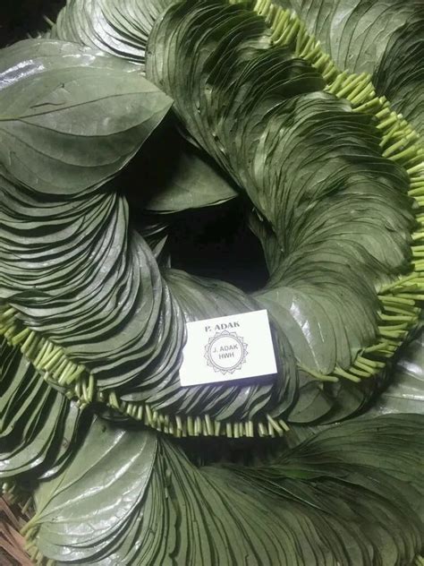 Sweet ( Natural) Betel Leaves, Packaging Type: Box, Grade: A Grade at ...