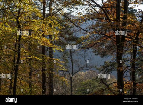 Lake District autumn colours #1 Stock Photo - Alamy