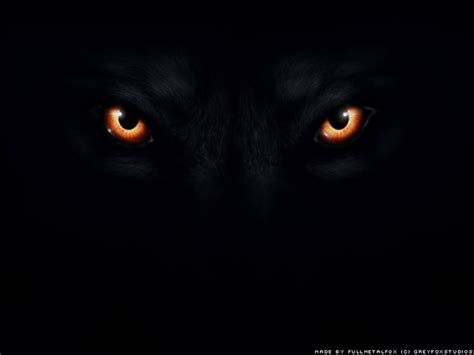 Wolf eyes, Werewolf, Bark at the moon