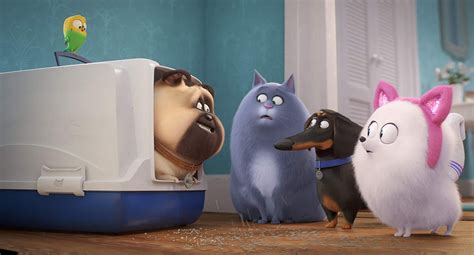 WATCH: THE SECRET LIFE OF PETS 2 International Trailer Gets Emotional - Reel Advice Movie Reviews