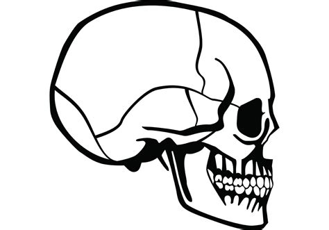 Skull Profile Vector - Download Free Vector Art, Stock Graphics & Images