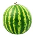 Watermelon Slices Free Stock Photo - Public Domain Pictures