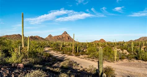 Ajo Scenic Loop | Arizona Highways