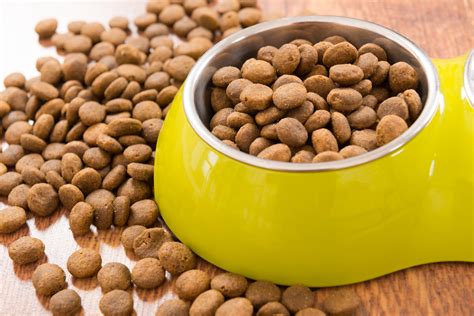 10 Best Dog Food For Your Furry Friend's Health & Happiness: A Complete Buying Guide. - Furry Folly