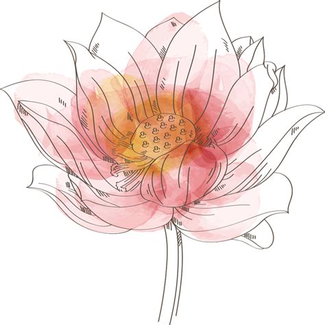 Vinilo de flor de loto tonos acuarela - TenVinilo