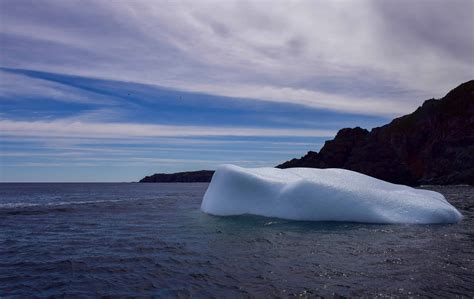 How To Find Icebergs and Other Natural Wonders in Newfoundland - Travel ...