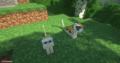 Not Enough Cats Mod 1.12.2/1.11.2 (New Cat Types & Spawning Behavior) - 9Minecraft.Net