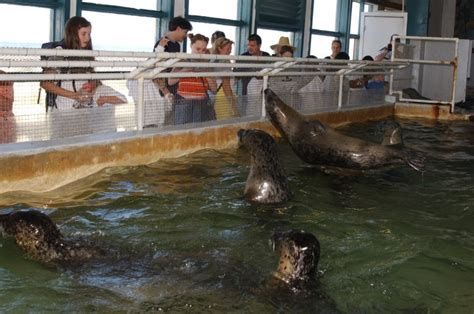 Seaside Aquarium and the Ocean | Camp Rosenbaum