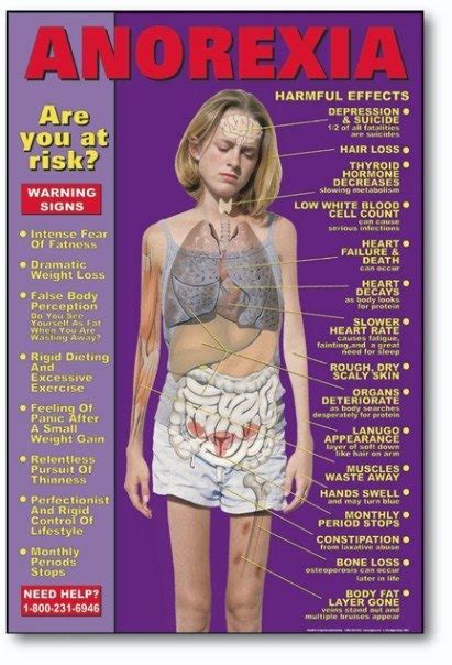Anorexia: Causes and Risk