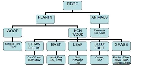 Natural Fibre Bio-Composites Incorporating Poly(Lactic Acid) | IntechOpen