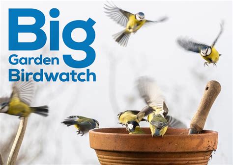 RSPB Big Garden Birdwatch 2022 - Life Publications