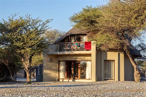 Etosha National Park: the ultimate guide - Roxanne Reid