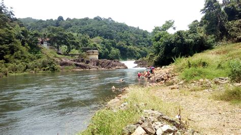 Free stock photo of kerala, pamba river, perunthenaruvi