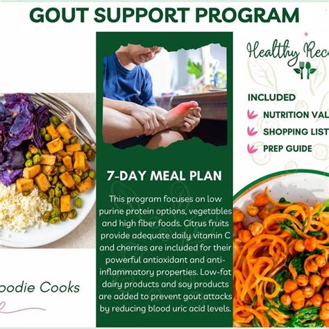 Gout Diet Plan - Etsy