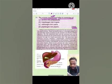 Function of Enterokinase | NEET Previous year questions #neet #biology ...