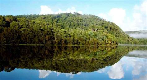 Corinna Wilderness Experience | Tarkine Wilderness Tasmania