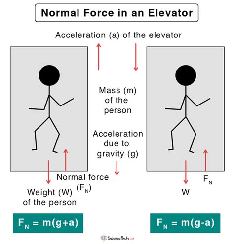 Normal Force: Definition, Equation, and Example