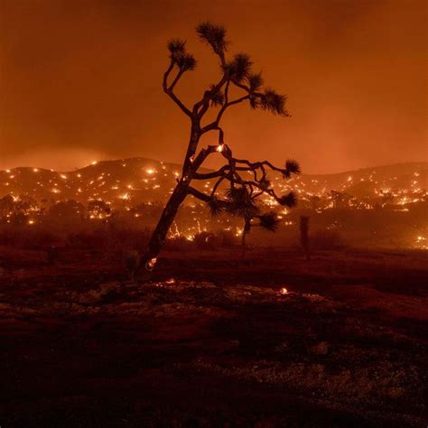 Why 2021 Could Be California’s Worst Fire Season Ever