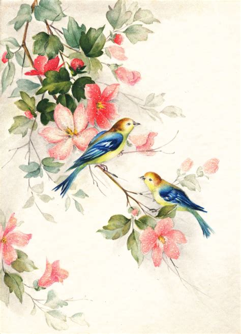 🔥 [50+] Vintage Bird Wallpapers | WallpaperSafari