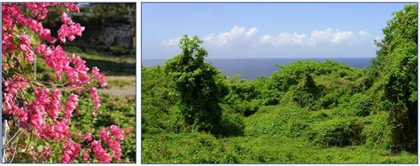 Map of St. Eustatius including the National Park areas of Boven and the... | Download Scientific ...