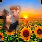 Download sunflower photo frames editor android on PC