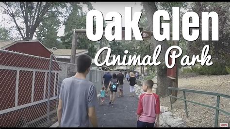 Oak Glen Animal Park - YouTube