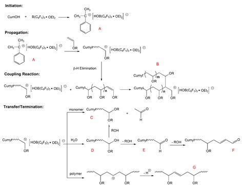 Polymerization Mechanism