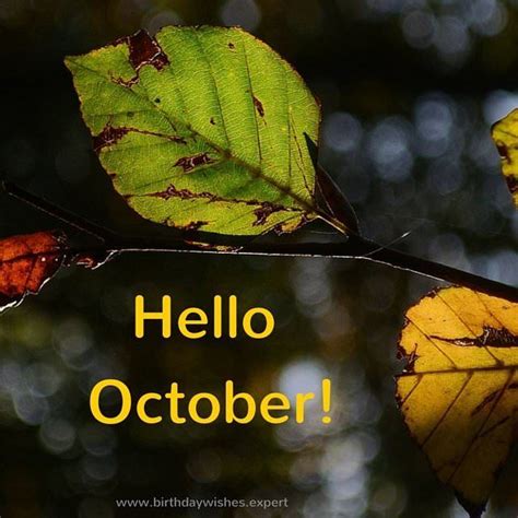 Hello October | Hello october, Happy images, Motivational quotes