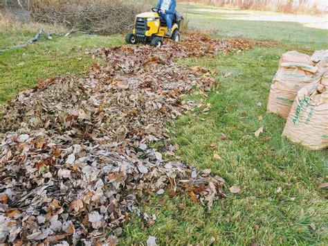 Benefits of Using a Mulching Lawn Mower