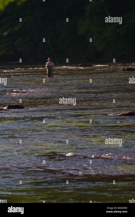 Chattahoochee river wildlife hi-res stock photography and images - Alamy