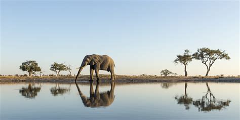 Chobe National Park, BW Vacation Rentals: house rentals & more | Vrbo