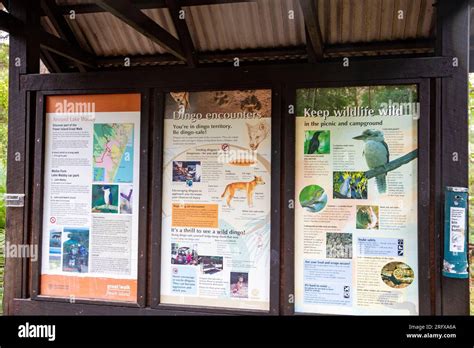 Lake Wabby on Fraser Island K'gari, tourist and visitor information board about the lake ...