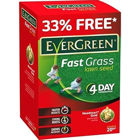 Amazon.co.uk: fast growing grass seed