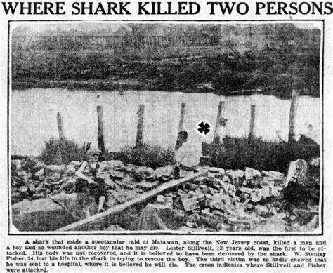 Man-eating shark attacks on the New Jersey shore made headlines ...