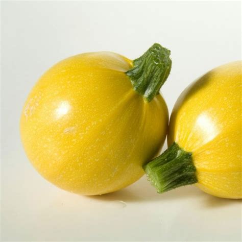 Yellow Round Squash - Zucchini Seeds | Zucchini plants, Yellow zucchini, Seeds