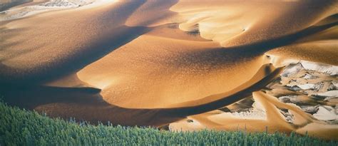 Athabasca Sand Dunes breathtaking | The Western Producer