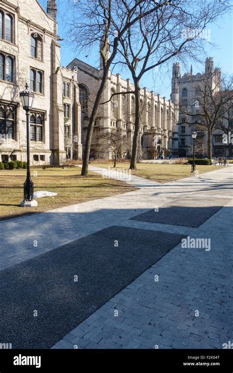 On the campus of the University of Chicago in Hyde Park, Chicago, IL ...