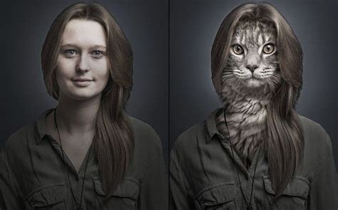 What would it look like if cats and their owners became one ? | Photoshopped animals, Photoshop ...