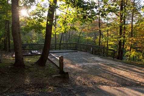 Amicalola Falls State Park Campground | Outdoor Project