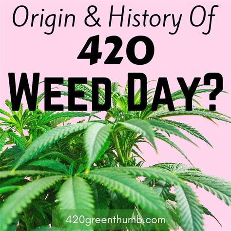 What Is The Origin Of 420 (April 20) Weed Day