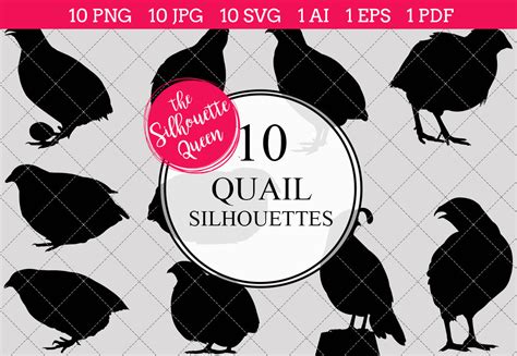 Quail Silhouette Vector By The Silhouette Queen | TheHungryJPEG