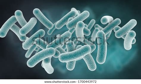 1,766 Lactobacillus Microscope Images, Stock Photos, 3D objects, & Vectors | Shutterstock